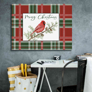'Merry Christmas Cardinal' by Cindy Jacobs, Canvas Wall Art,34 x 26