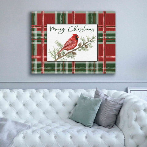 Image of 'Merry Christmas Cardinal' by Cindy Jacobs, Canvas Wall Art,54 x 40