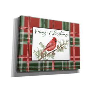 'Merry Christmas Cardinal' by Cindy Jacobs, Canvas Wall Art