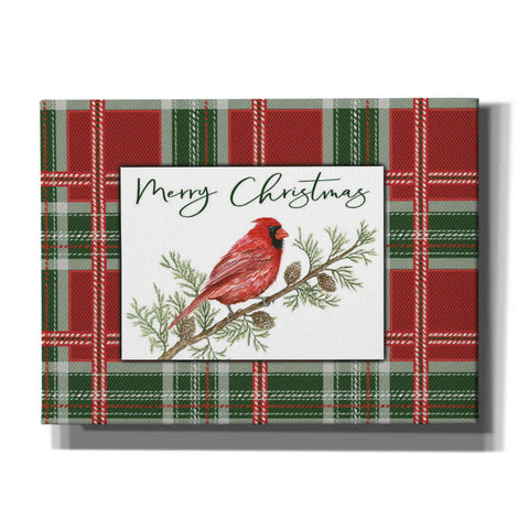 Image of 'Merry Christmas Cardinal' by Cindy Jacobs, Canvas Wall Art