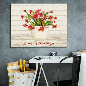 'Christmas Cactus - Season's Greetings' by Cindy Jacobs, Canvas Wall Art,34 x 26
