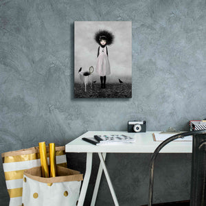 'Dulcimer' by Art & Ghosts, Canvas Wall Art,12 x 16