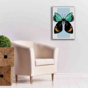 'Butterfly' by Ayse, Canvas Wall Art,18 x 26
