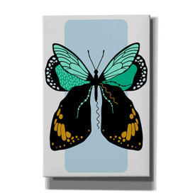 'Butterfly' by Ayse, Canvas Wall Art