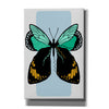 'Butterfly' by Ayse, Canvas Wall Art