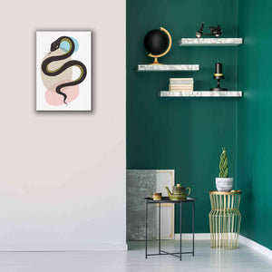 'Snake' by Ayse, Canvas Wall Art,18 x 26