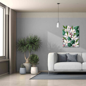 'Bohemia 2' by Marisa Anon, Canvas Wall Art,26 x 34