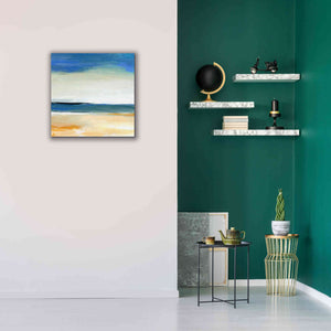 'Seascape 2' by Niki Arden, Canvas Wall Art,26 x 26