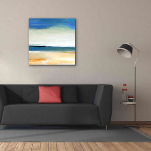 'Seascape 2' by Niki Arden, Canvas Wall Art,37 x 37