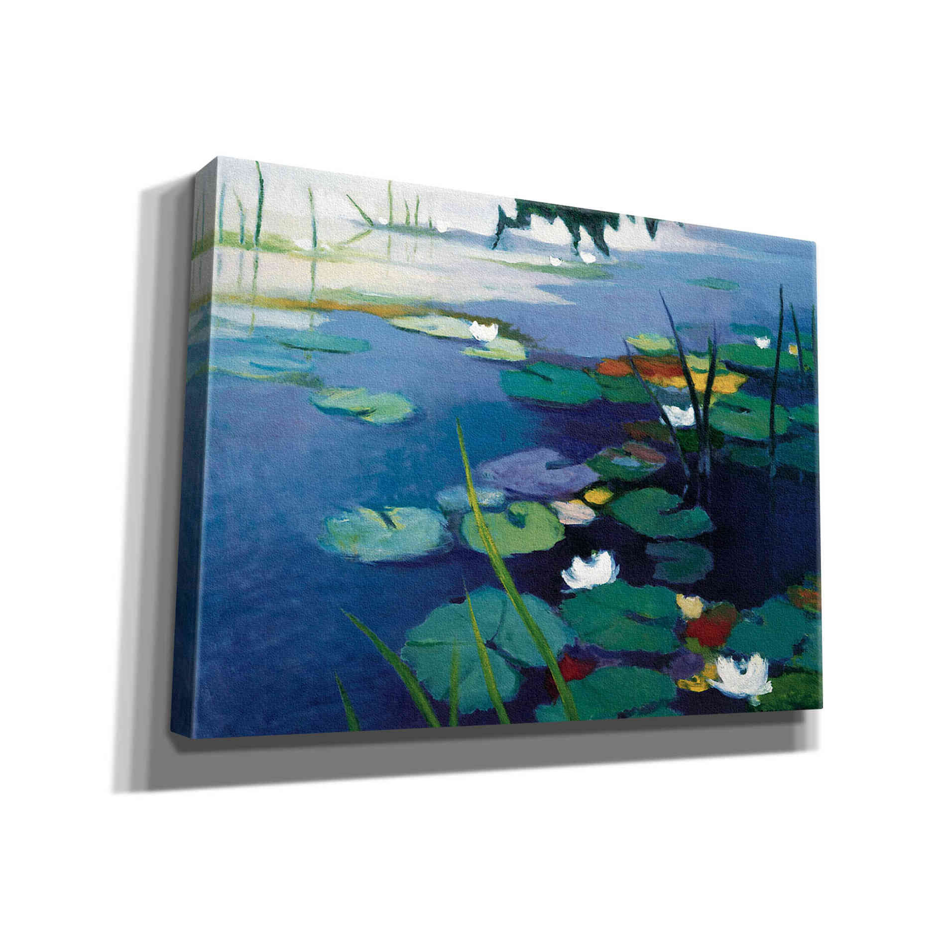 'Water Lilies' by Tadashi Asoma, Canvas Wall Art
