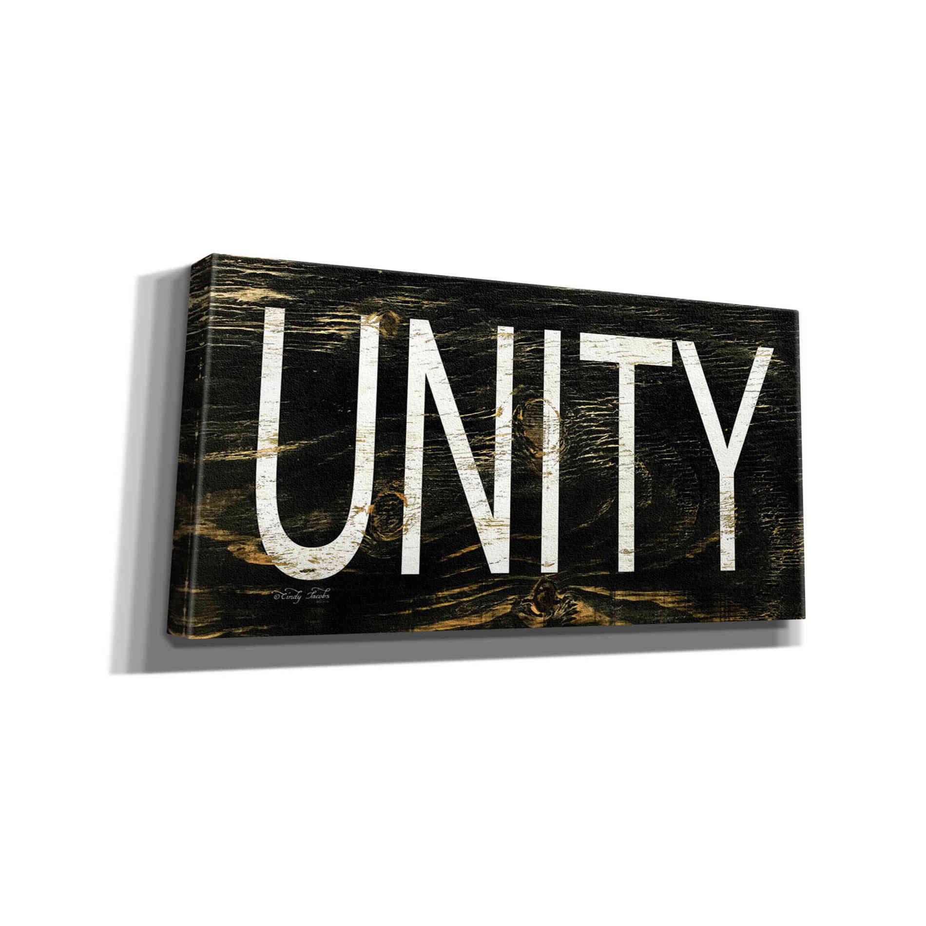 'Unity' by Cindy Jacobs, Canvas Wall Art