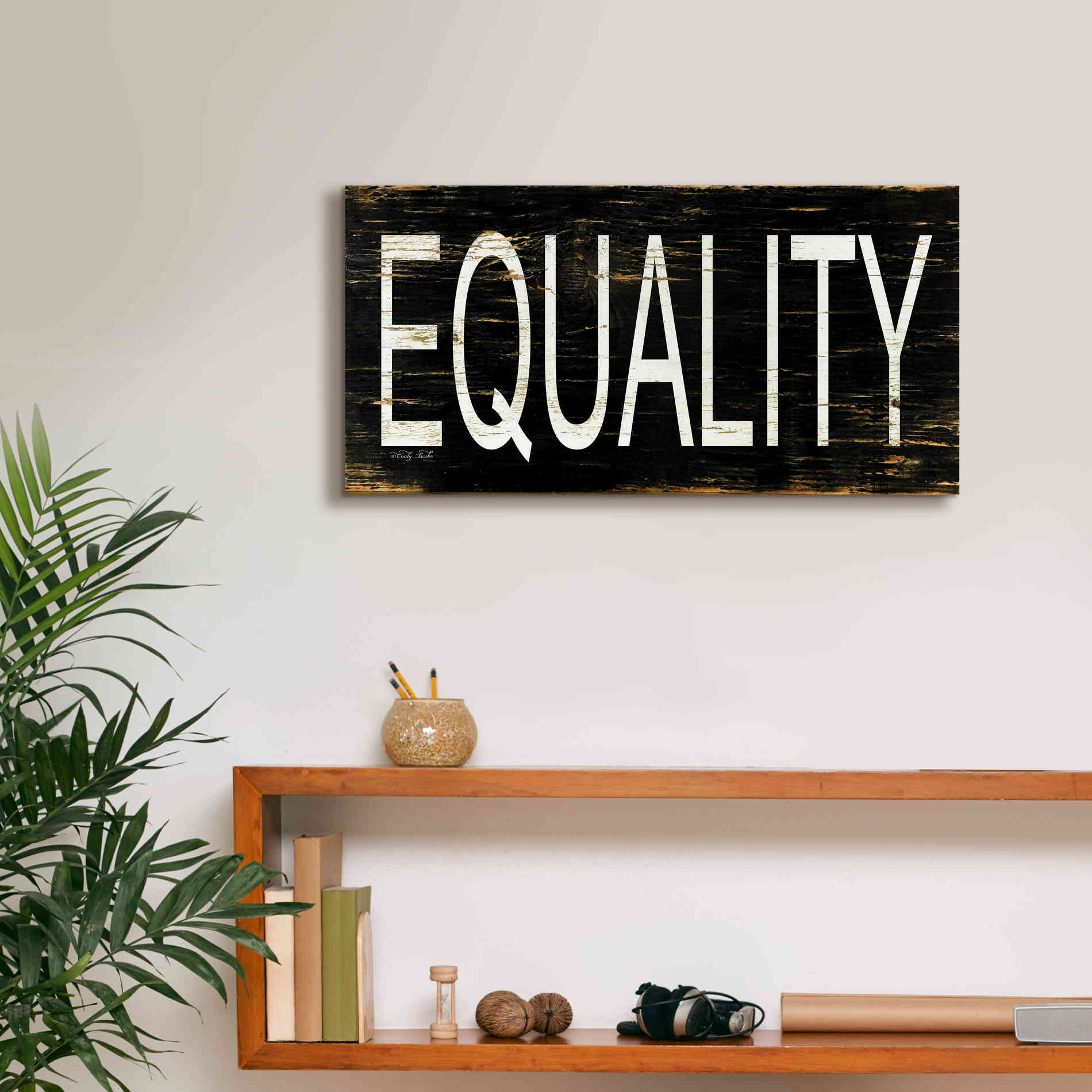 'Equality' by Cindy Jacobs, Canvas Wall Art,24 x 12