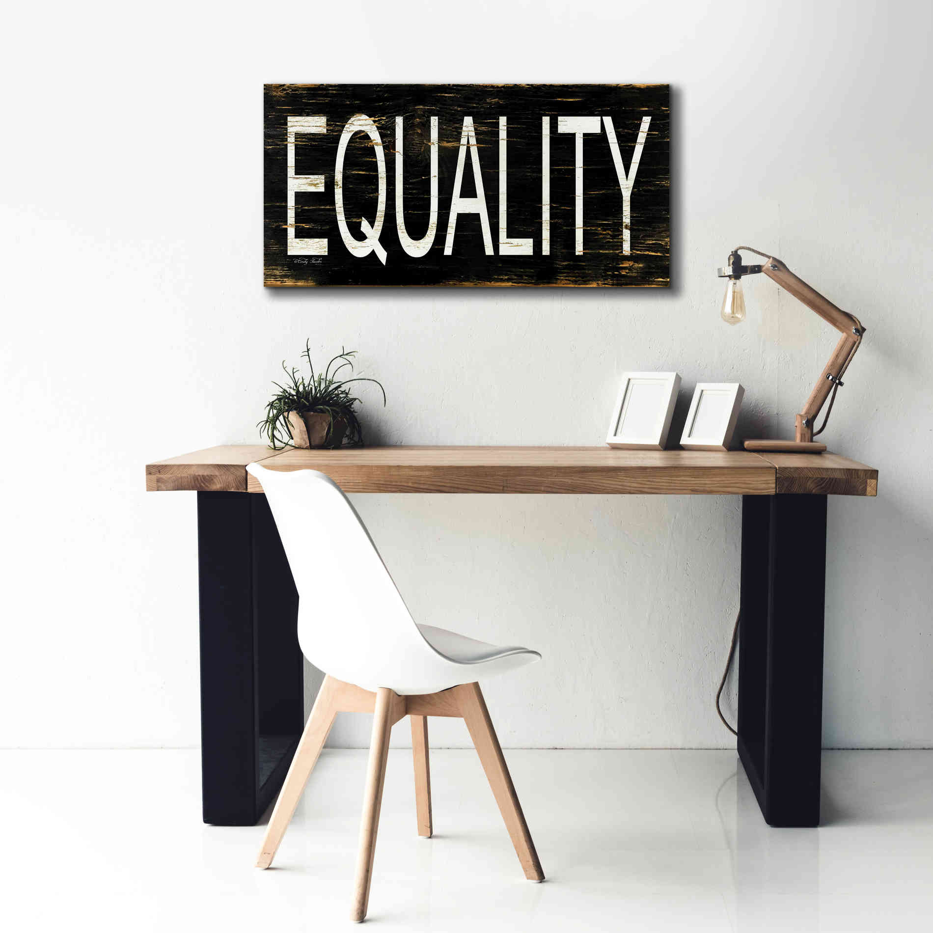 'Equality' by Cindy Jacobs, Canvas Wall Art,40 x 20
