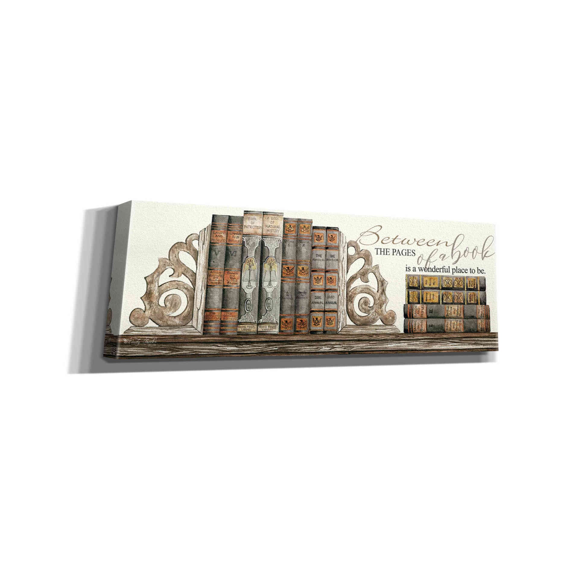 'Between the Pages of a Book' by Cindy Jacobs, Canvas Wall Art