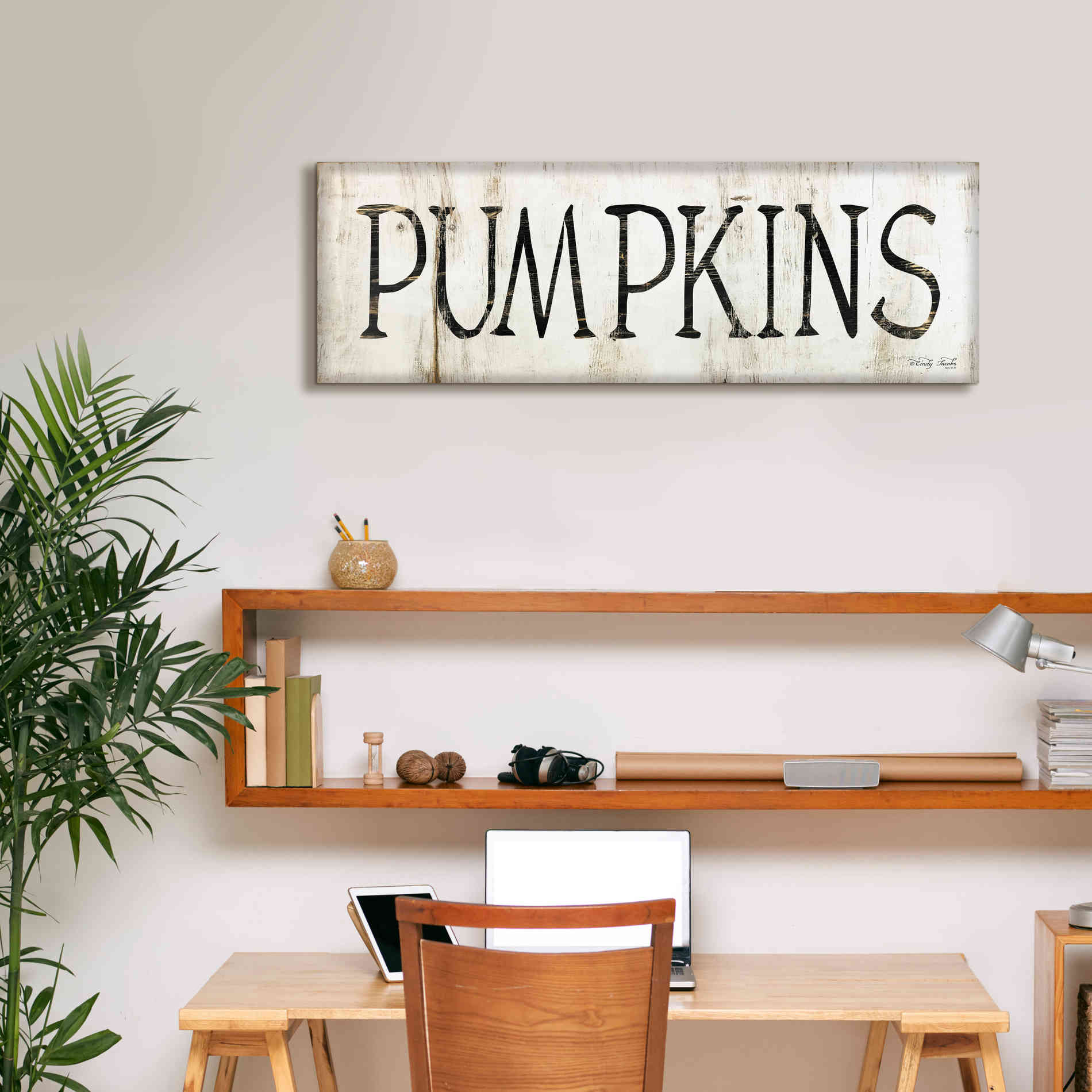'Pumpkins' by Cindy Jacobs, Canvas Wall Art,36 x 12