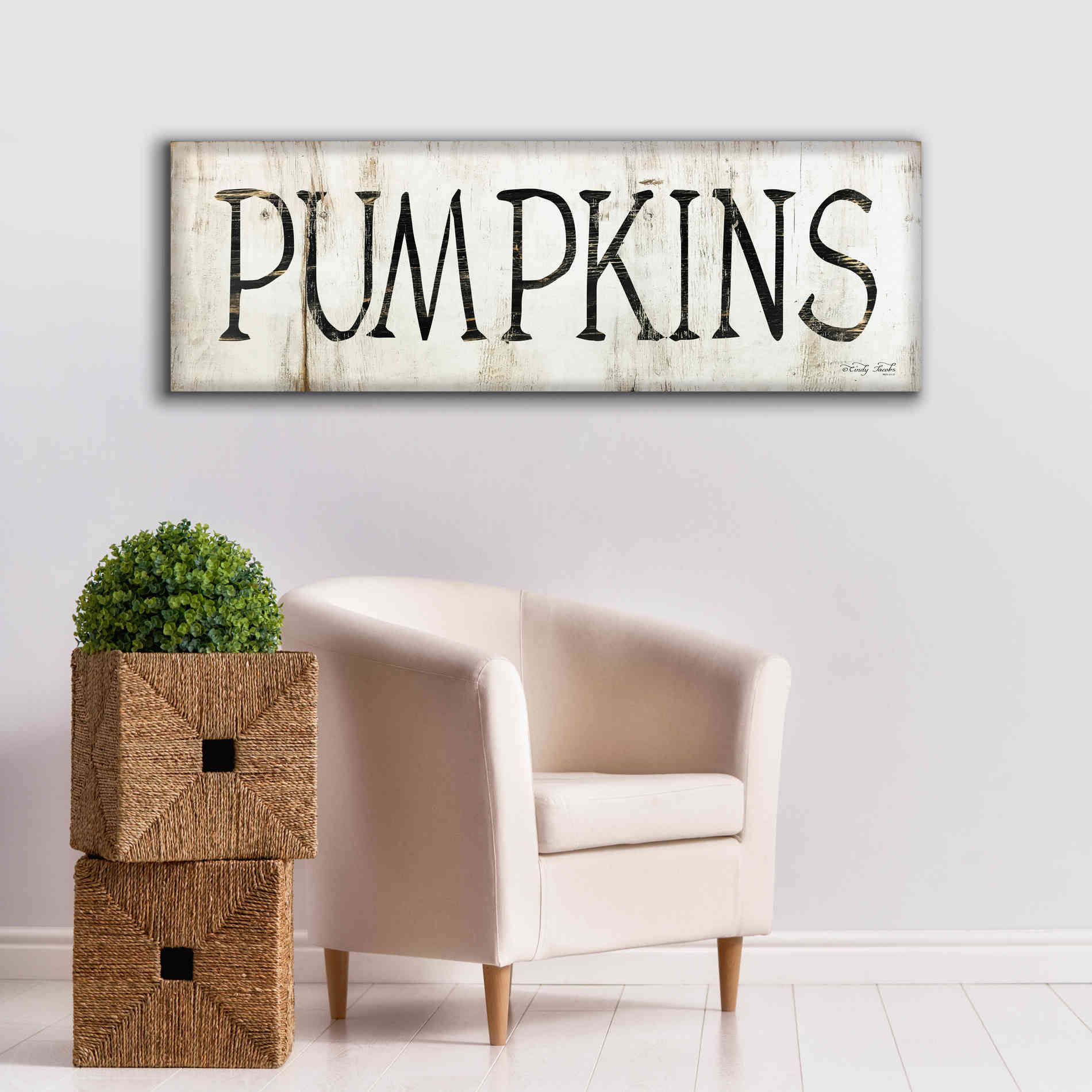 'Pumpkins' by Cindy Jacobs, Canvas Wall Art,60 x 20