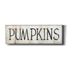 'Pumpkins' by Cindy Jacobs, Canvas Wall Art