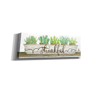 'Thankful Succulent Pots' by Cindy Jacobs, Canvas Wall Art
