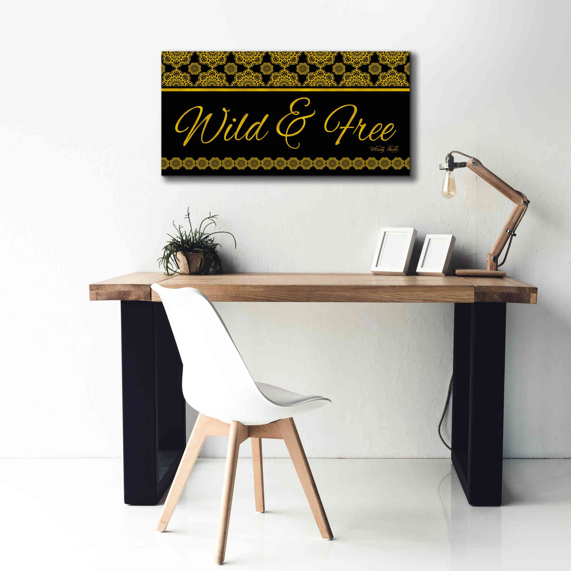 'Wild and Free Mandals' by Cindy Jacobs, Canvas Wall Art,40 x 20