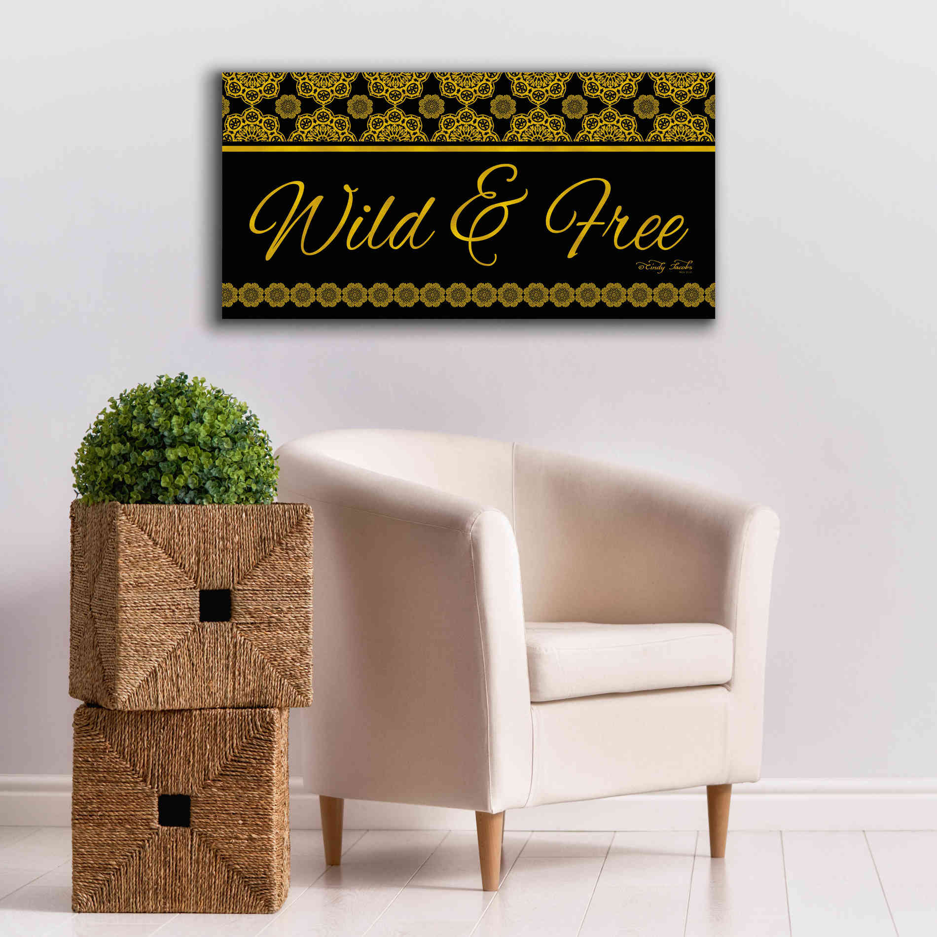 'Wild and Free Mandals' by Cindy Jacobs, Canvas Wall Art,40 x 20