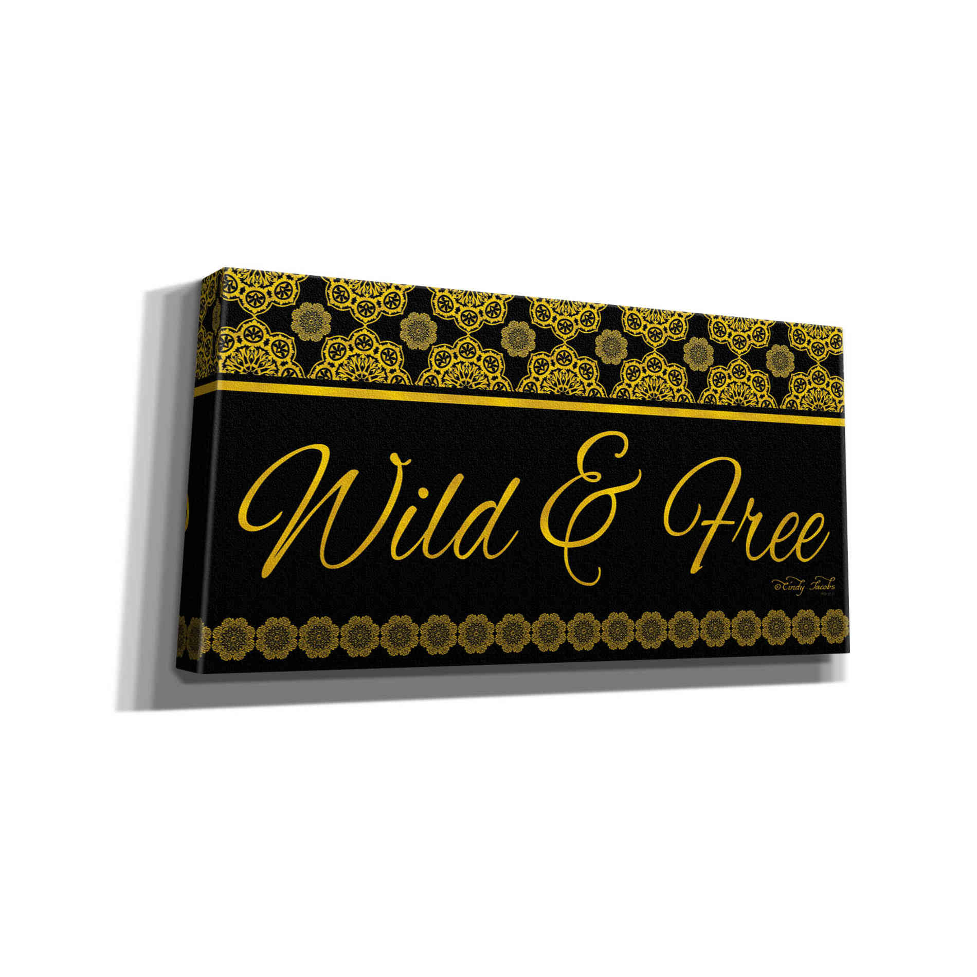 'Wild and Free Mandals' by Cindy Jacobs, Canvas Wall Art