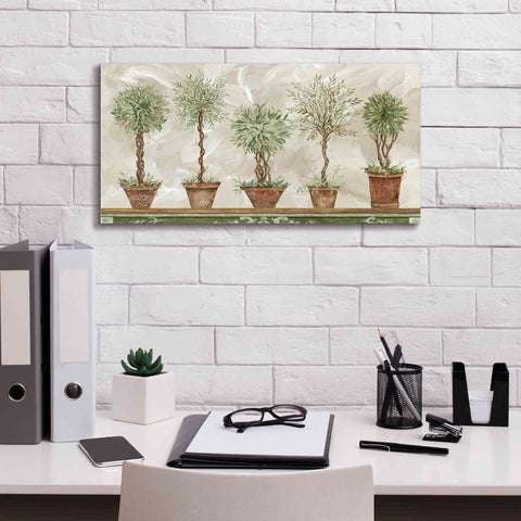 Image of 'Topiaries in a Row' by Cindy Jacobs, Canvas Wall Art,24 x 12