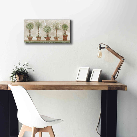 Image of 'Topiaries in a Row' by Cindy Jacobs, Canvas Wall Art,24 x 12