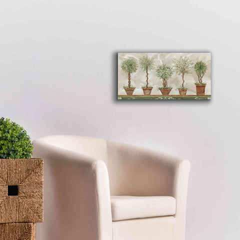 Image of 'Topiaries in a Row' by Cindy Jacobs, Canvas Wall Art,24 x 12
