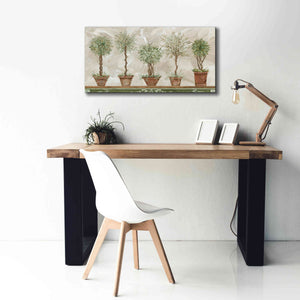 'Topiaries in a Row' by Cindy Jacobs, Canvas Wall Art,40 x 20