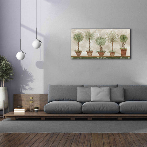 Image of 'Topiaries in a Row' by Cindy Jacobs, Canvas Wall Art,60 x 30