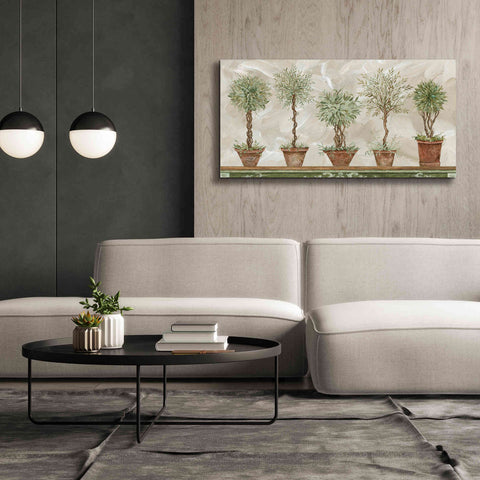 Image of 'Topiaries in a Row' by Cindy Jacobs, Canvas Wall Art,60 x 30