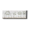 'White Simplicity' by Cindy Jacobs, Canvas Wall Art