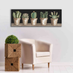 'Cactus Row' by Cindy Jacobs, Canvas Wall Art,60 x 20
