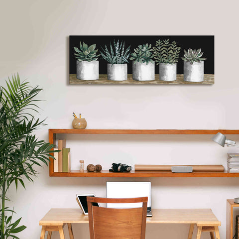 Image of 'Succulent Row' by Cindy Jacobs, Canvas Wall Art,36 x 12