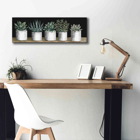 Image of 'Succulent Row' by Cindy Jacobs, Canvas Wall Art,36 x 12