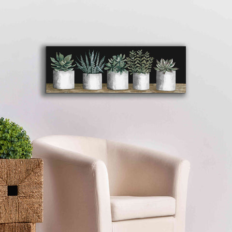 Image of 'Succulent Row' by Cindy Jacobs, Canvas Wall Art,36 x 12