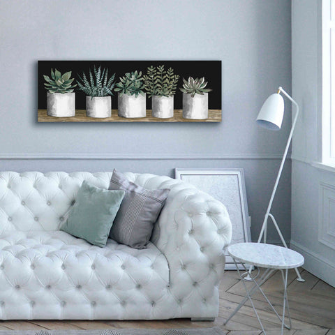 Image of 'Succulent Row' by Cindy Jacobs, Canvas Wall Art,60 x 20