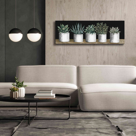 Image of 'Succulent Row' by Cindy Jacobs, Canvas Wall Art,60 x 20
