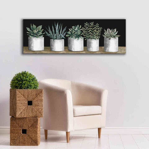 Image of 'Succulent Row' by Cindy Jacobs, Canvas Wall Art,60 x 20