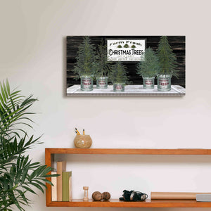 'Galvanized Pots Christmas Trees II' by Cindy Jacobs, Canvas Wall Art,24 x 12