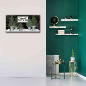 'Galvanized Pots Christmas Trees II' by Cindy Jacobs, Canvas Wall Art,40 x 20