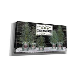 'Galvanized Pots Christmas Trees II' by Cindy Jacobs, Canvas Wall Art