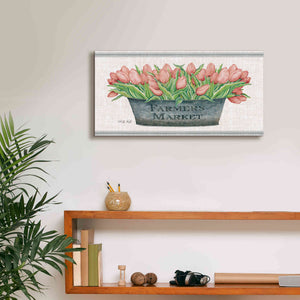 'Farmer's Market Blush Tulips' by Cindy Jacobs, Canvas Wall Art,24 x 12