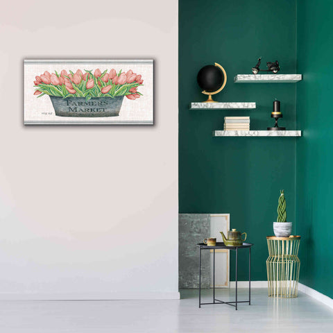 Image of 'Farmer's Market Blush Tulips' by Cindy Jacobs, Canvas Wall Art,40 x 20