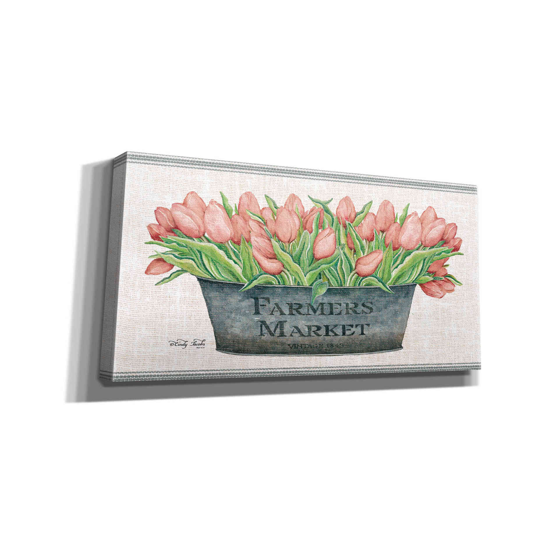 'Farmer's Market Blush Tulips' by Cindy Jacobs, Canvas Wall Art
