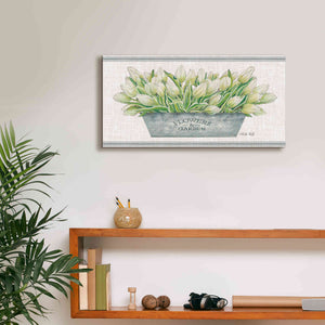 'Flowers & Garden White Tulips' by Cindy Jacobs, Canvas Wall Art,24 x 12