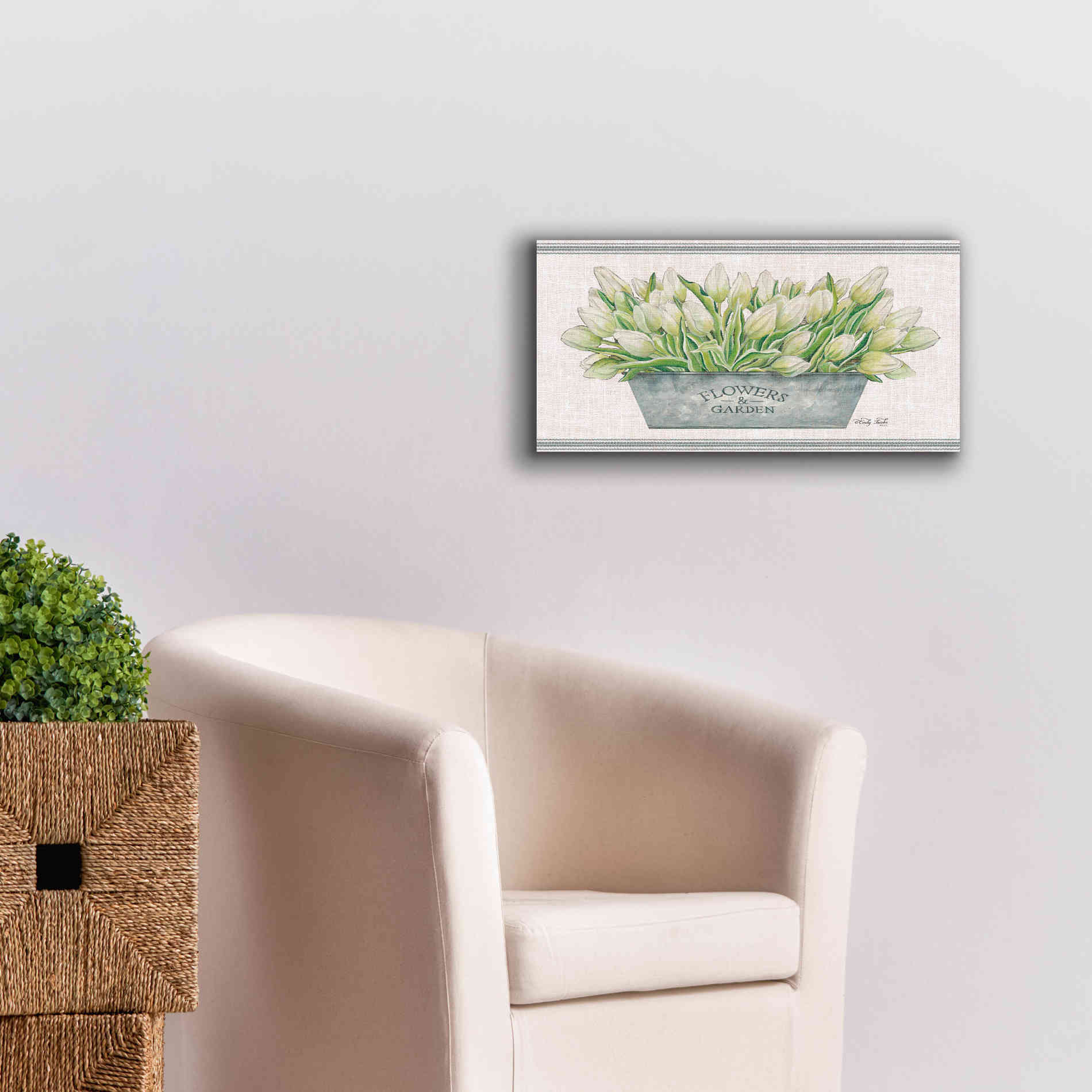 'Flowers & Garden White Tulips' by Cindy Jacobs, Canvas Wall Art,24 x 12