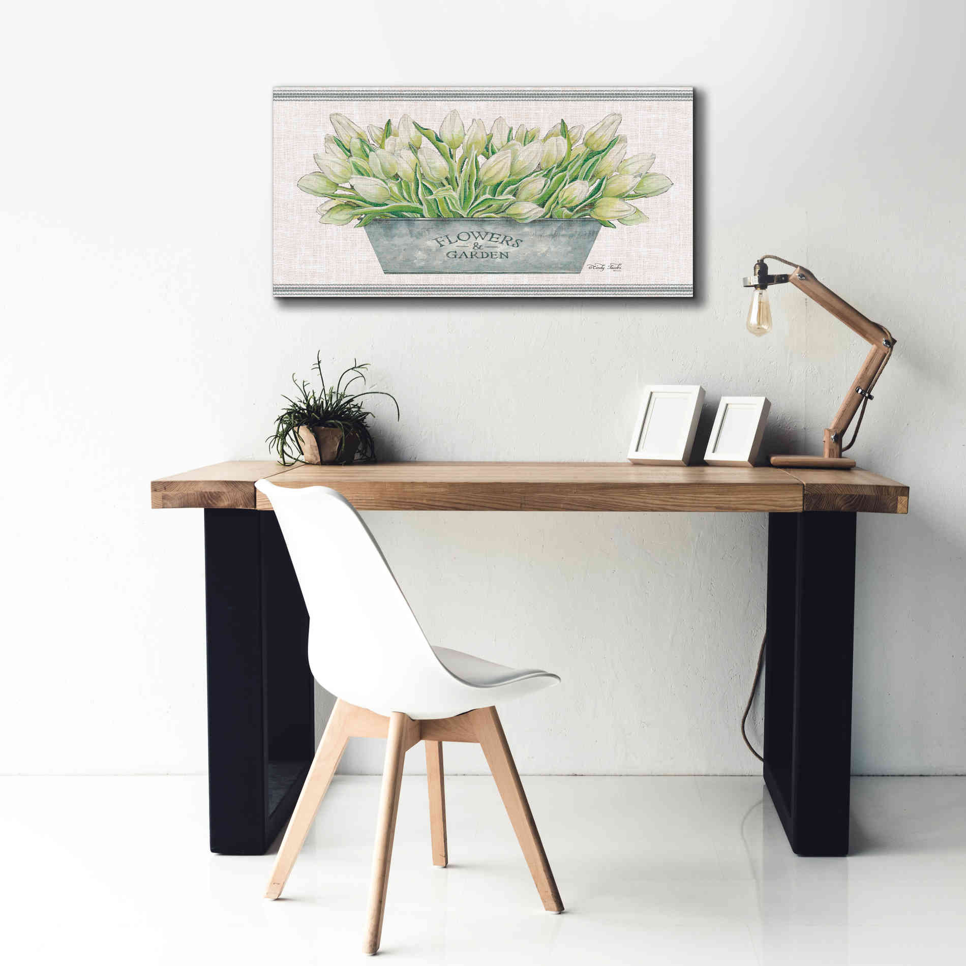 'Flowers & Garden White Tulips' by Cindy Jacobs, Canvas Wall Art,40 x 20