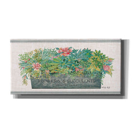 'Flowers & Succulents' by Cindy Jacobs, Canvas Wall Art
