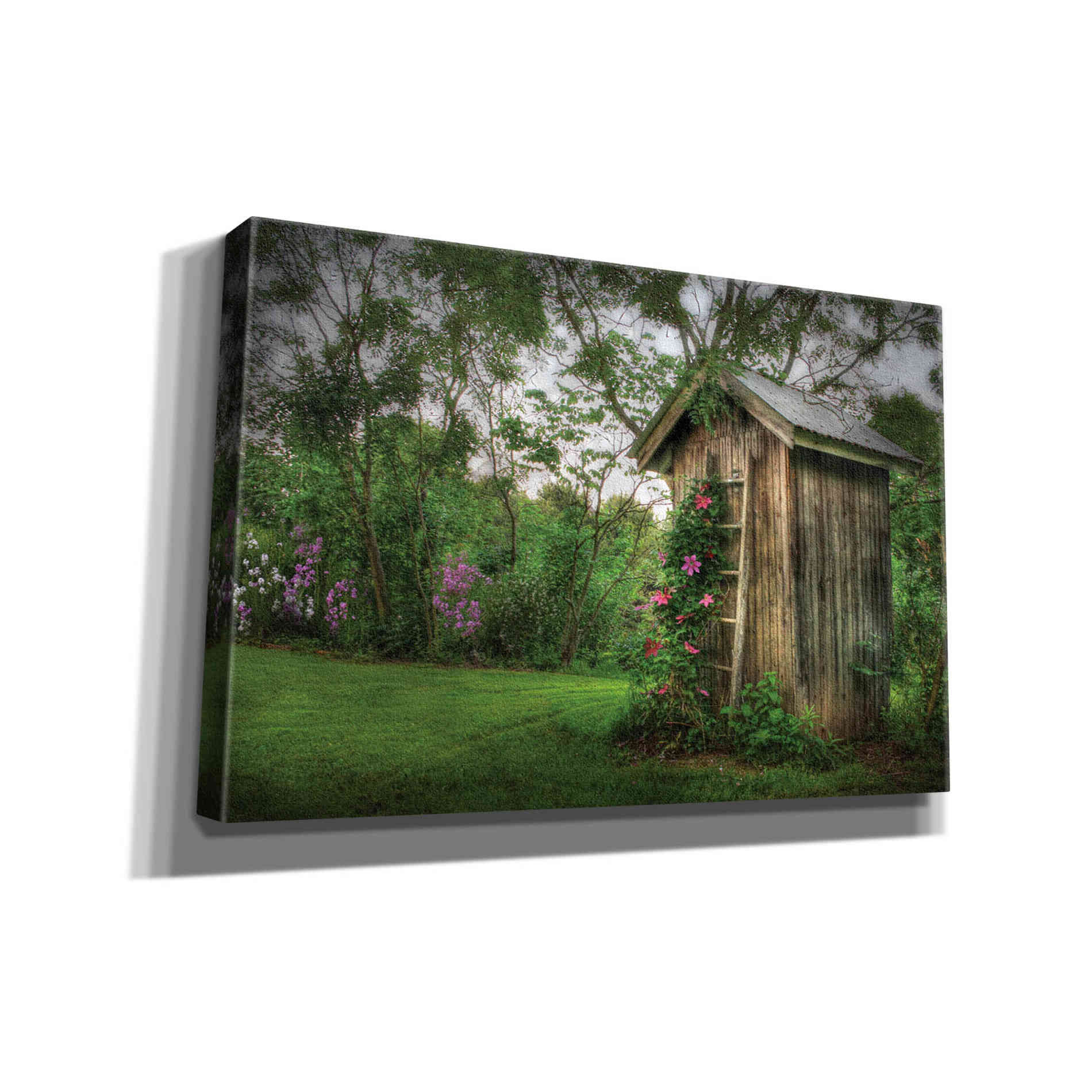 'Fragrant Outhouse' by Lori Deiter, Canvas Wall Art